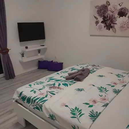 Dani * Zadar