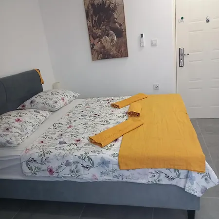 Dani