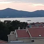 Dani
