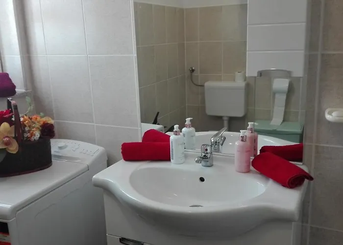 公寓 Dani 扎达尔